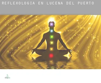 Reflexología en  Lucena del Puerto