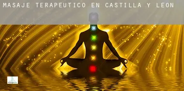 Masaje terapeútico en Castilla y León