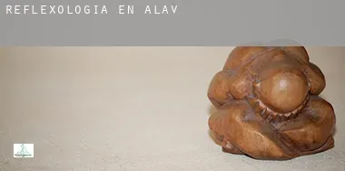Reflexología en  Álava