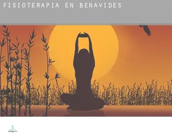 Fisioterapia en  Benavides