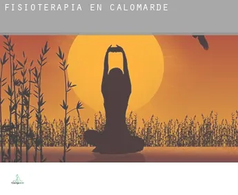 Fisioterapia en  Calomarde
