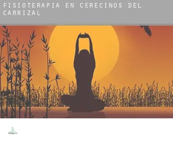 Fisioterapia en  Cerecinos del Carrizal
