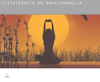 Fisioterapia en  Navalagamella
