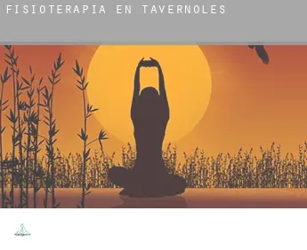 Fisioterapia en  Tavèrnoles