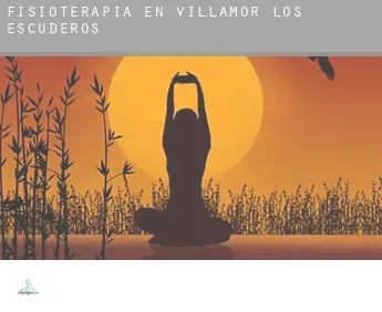 Fisioterapia en  Villamor de los Escuderos