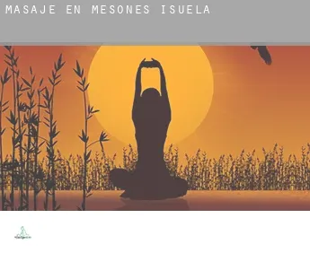 Masaje en  Mesones de Isuela
