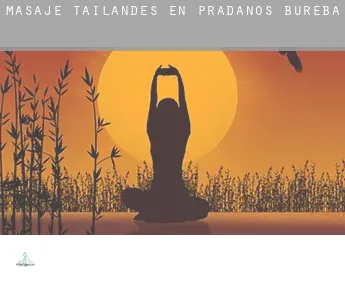 Masaje tailandés en  Prádanos de Bureba