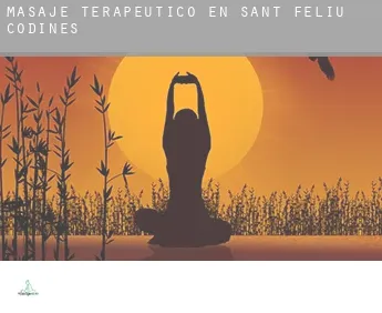 Masaje terapeútico en  Sant Feliu de Codines