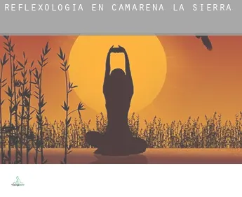 Reflexología en  Camarena de la Sierra