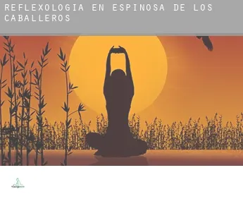 Reflexología en  Espinosa de los Caballeros