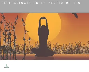 Reflexología en  la Sentiu de Sió
