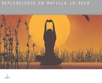 Reflexología en  Matilla la Seca