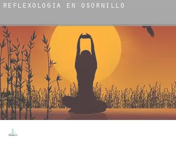 Reflexología en  Osornillo