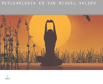 Reflexología en  San Miguel de Valero