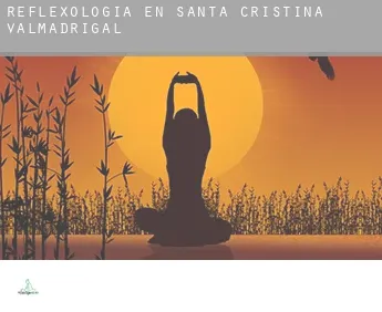 Reflexología en  Santa Cristina de Valmadrigal