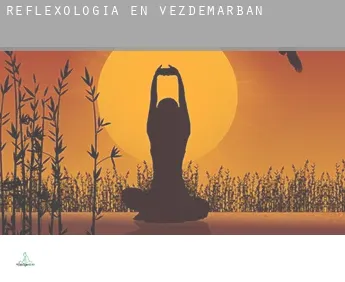 Reflexología en  Vezdemarbán