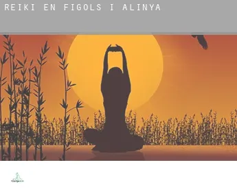 Reiki en  Fígols i Alinyà