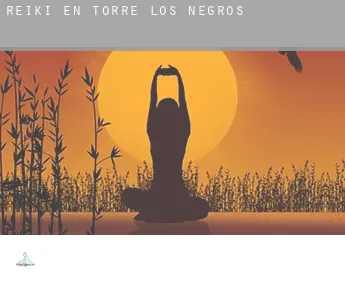 Reiki en  Torre los Negros