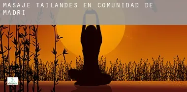 Masaje tailandés en  Comunidad de Madrid