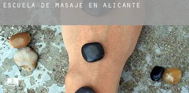 Escuela de masaje en  Alicante