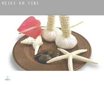 Reiki en  Tibi