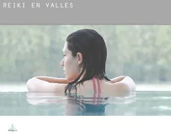 Reiki en  Vallés