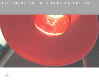 Fisioterapia en  Olmeda de la Cuesta