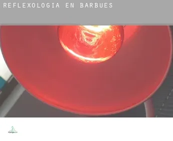 Reflexología en Barbués