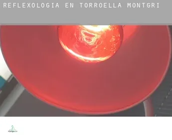 Reflexología en  Torroella de Montgrí