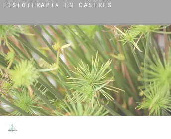 Fisioterapia en  Caseres