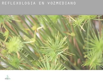 Reflexología en  Vozmediano
