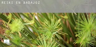 Reiki en Badajoz