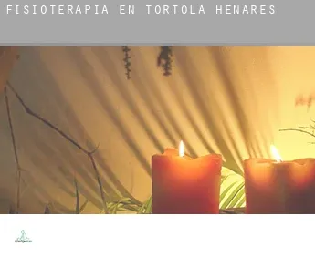 Fisioterapia en  Tórtola de Henares