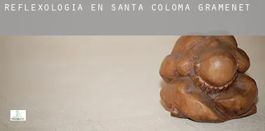 Reflexología en  Santa Coloma de Gramenet