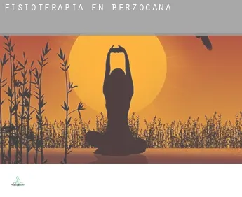 Fisioterapia en  Berzocana