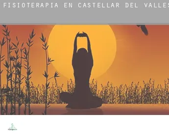 Fisioterapia en  Castellar del Vallès