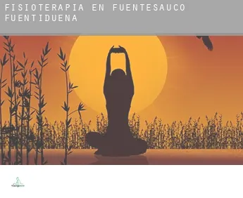 Fisioterapia en  Fuentesaúco de Fuentidueña
