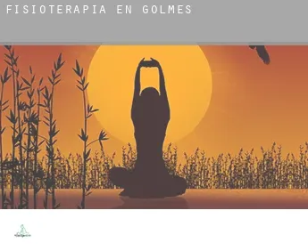 Fisioterapia en Golmés