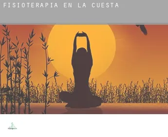 Fisioterapia en  La Cuesta