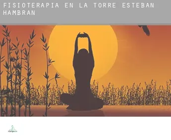 Fisioterapia en  La Torre de Esteban Hambrán