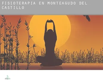 Fisioterapia en  Monteagudo del Castillo