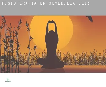 Fisioterapia en  Olmedilla de Eliz