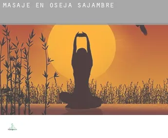 Masaje en  Oseja de Sajambre