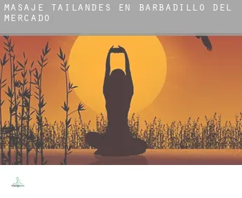 Masaje tailandés en  Barbadillo del Mercado
