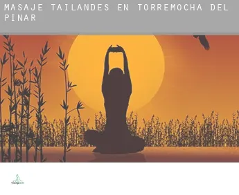 Masaje tailandés en  Torremocha del Pinar