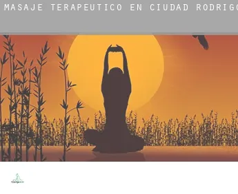 Masaje terapeútico en  Ciudad Rodrigo