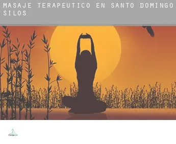 Masaje terapeútico en  Santo Domingo de Silos