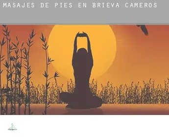 Masajes de pies en  Brieva de Cameros