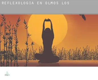 Reflexología en Olmos (Los)