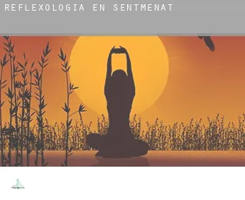 Reflexología en Sentmenat